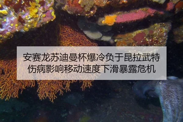 安赛龙苏迪曼杯爆冷负于昆拉武特 伤病影响移动速度下滑暴露危机